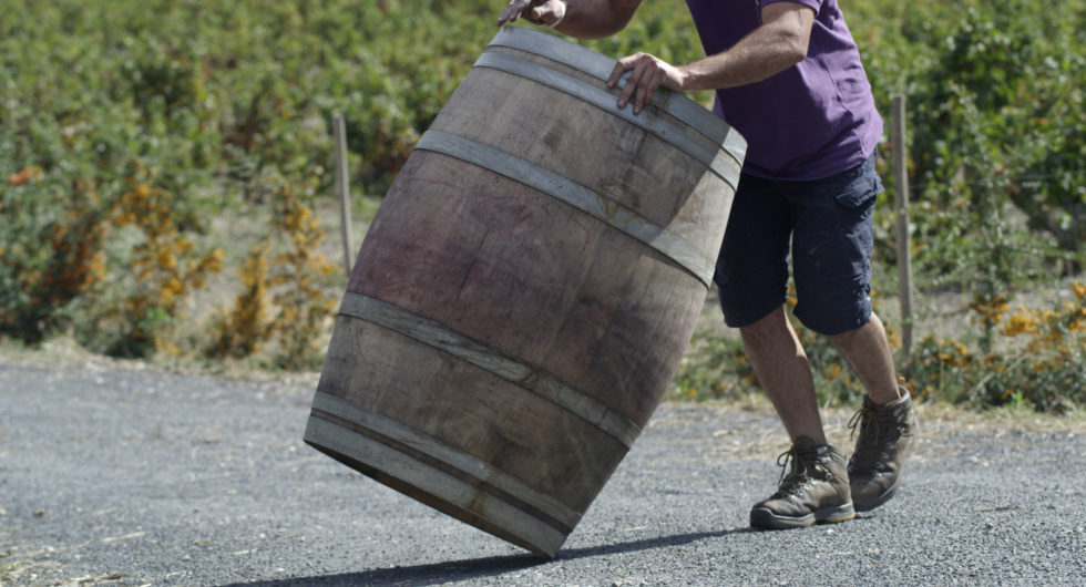 Vin Nature et Vin Sans Soufre