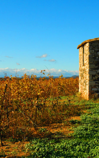 Domaines François Lurton in the land of Molière