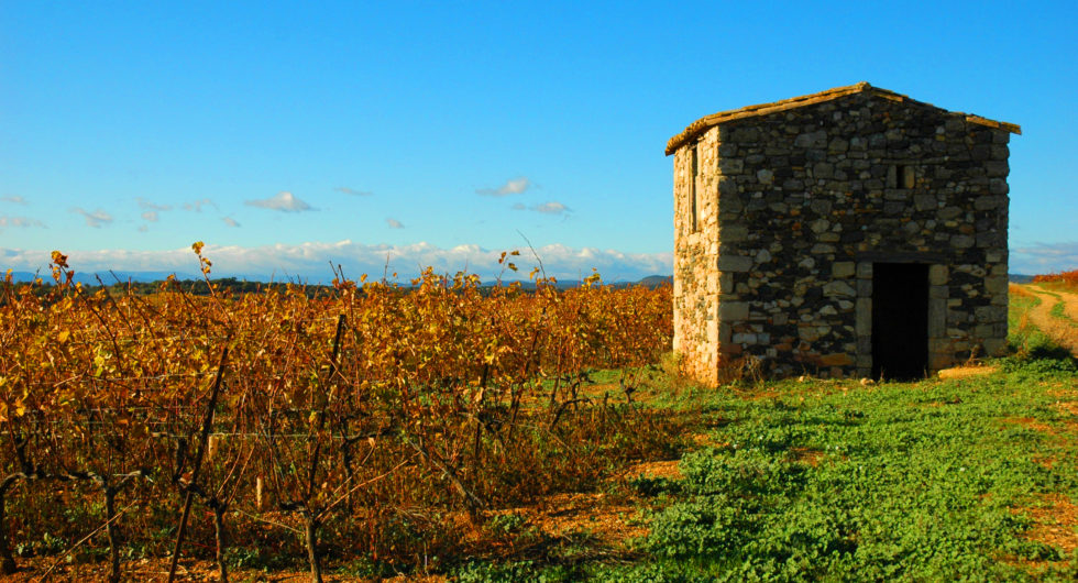 Les Domaines François Lurton sur les terres de Molières