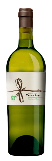 Sauvignon Blanc