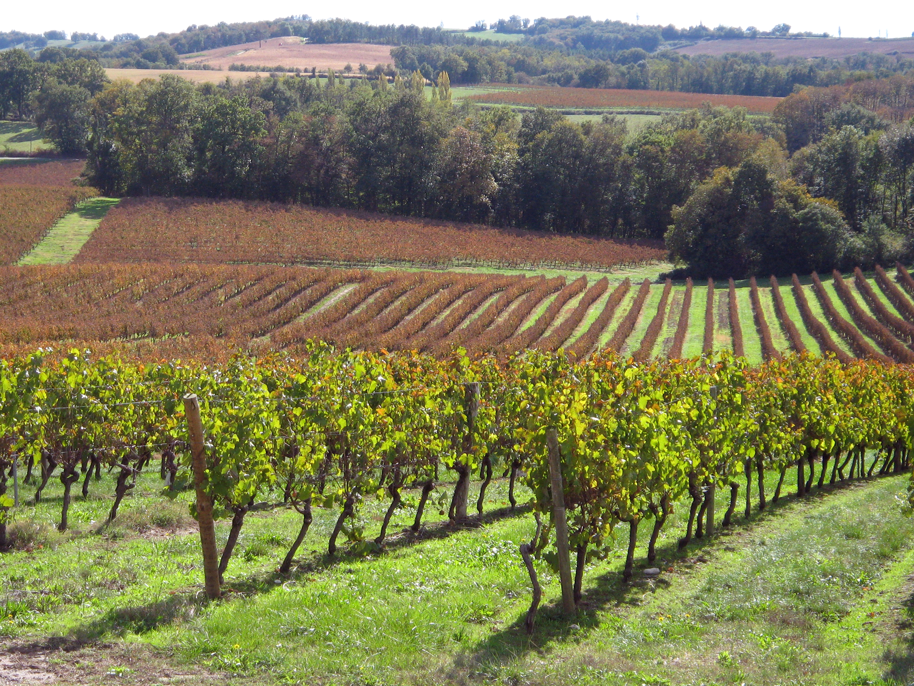 Réserve Rosé
